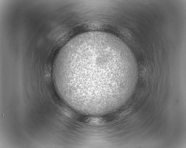 X0000056020507200509092142
