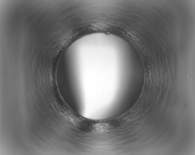 X0000056020508200509092142
