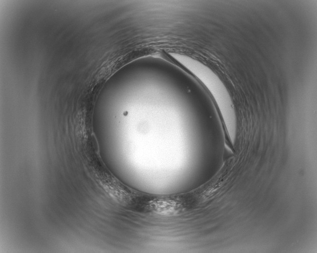 X0000056020512200509092142