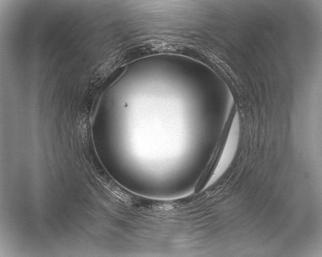 X0000056020513200509092142