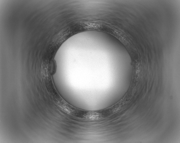 X0000056020514200509092142