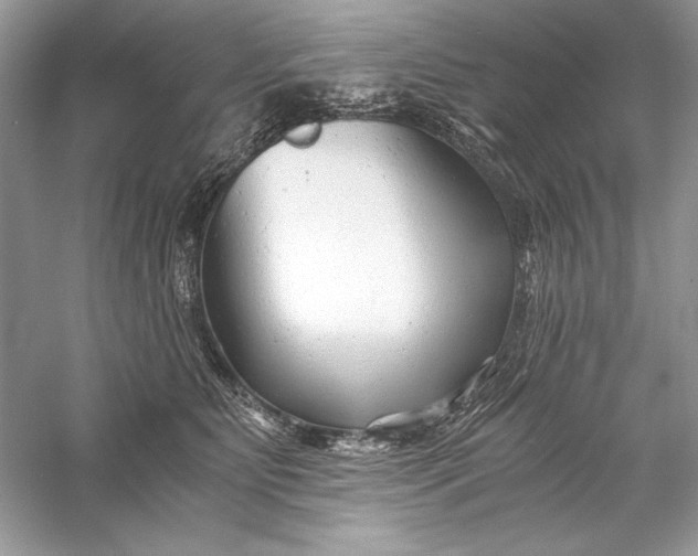 X0000056020515200509092142