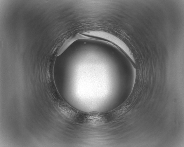 X0000056020516200509092142
