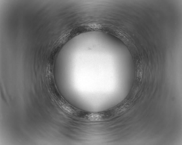 X0000056020518200509092142