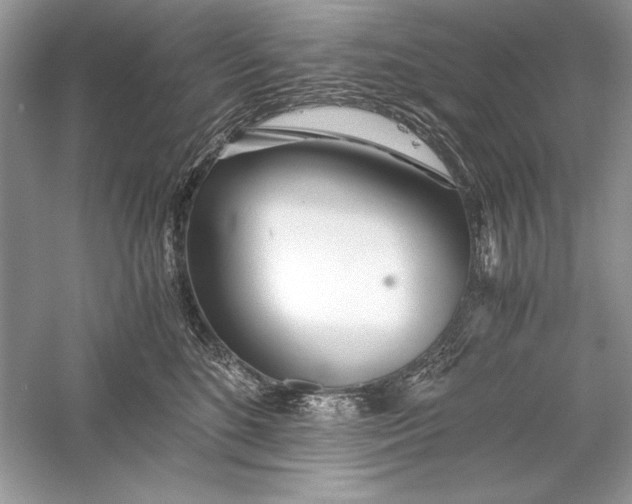 X0000056020520200509092142