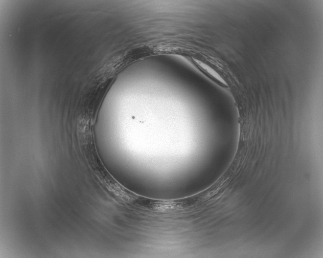 X0000056020521200509092142