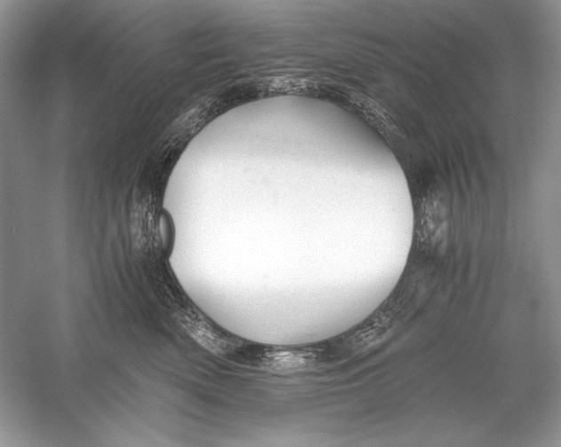 X0000056020522200509092142