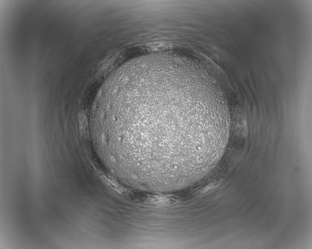 X0000056020523200509092142