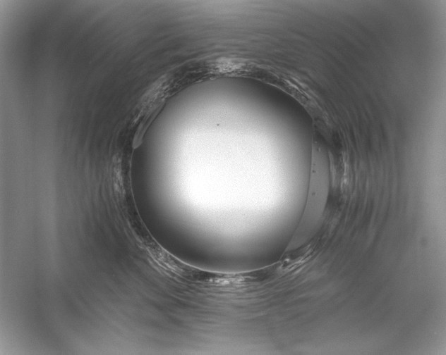 X0000056020524200509092142