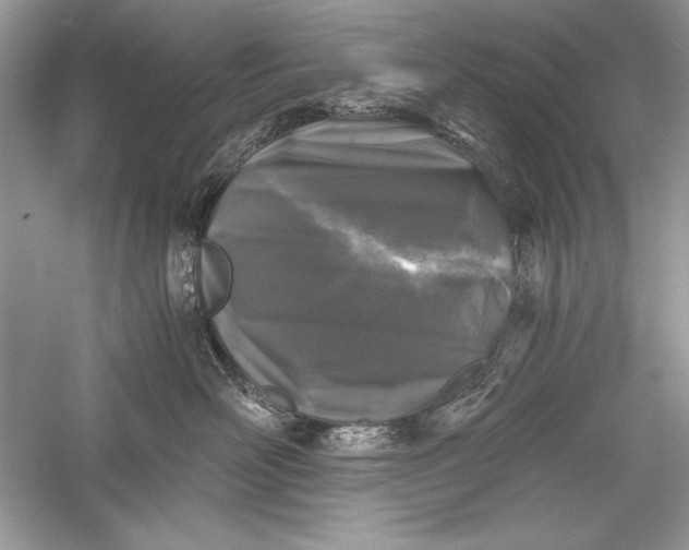 X0000056020526200509092142