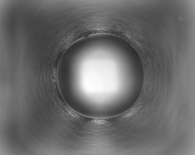 X0000056020528200509092142