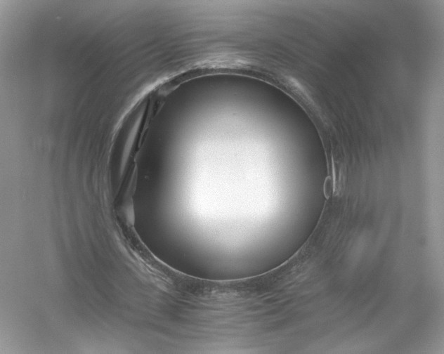 X0000056020531200509092141