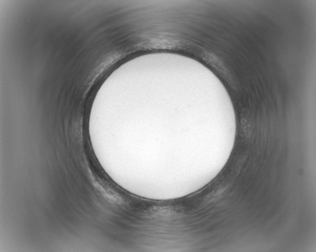 X0000056020534200509092141