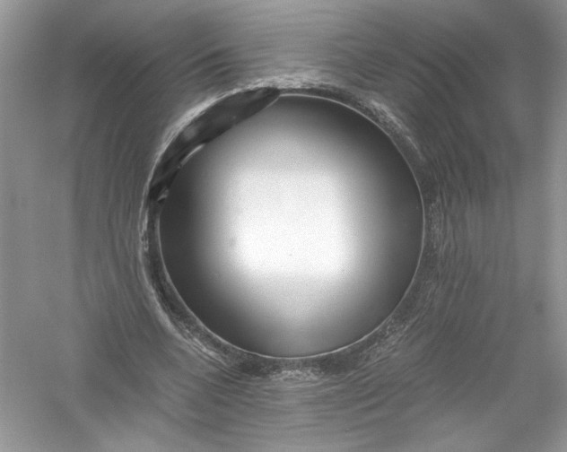 X0000056020536200509092141
