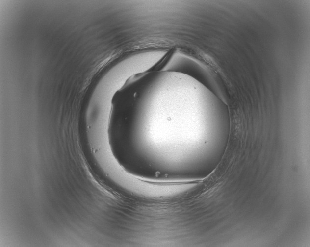 X0000056020538200509092141