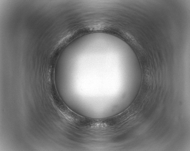X0000056020543200509092141