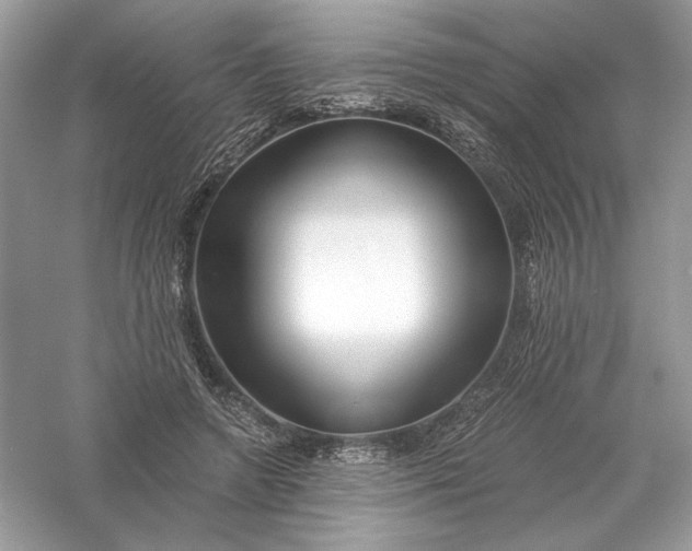 X0000056020546200509092141