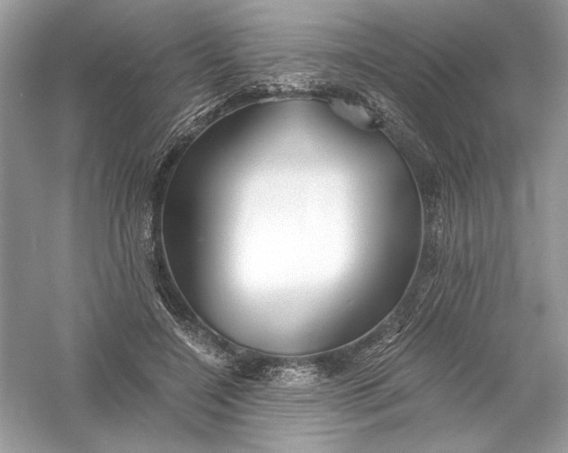 X0000056020548200509092142