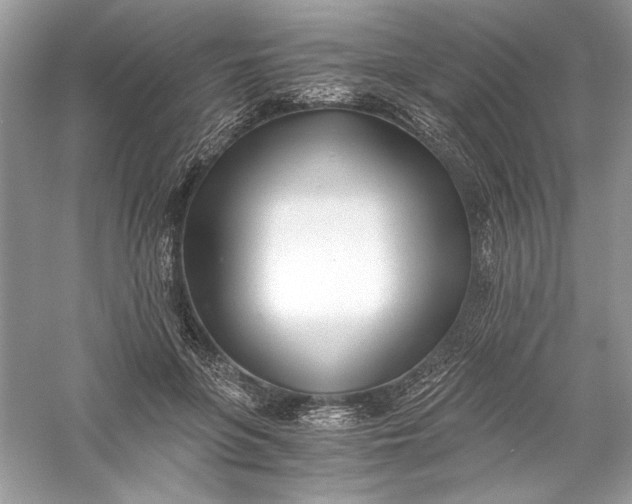 X0000056020551200509092142