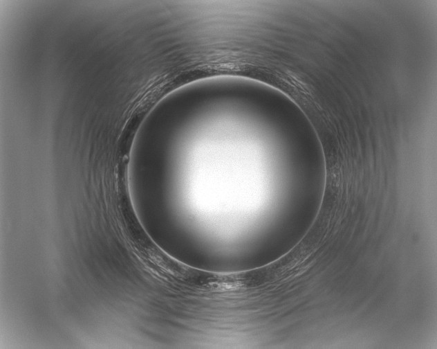X0000056020552200509092142