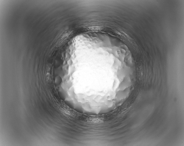 X0000056020553200509092142