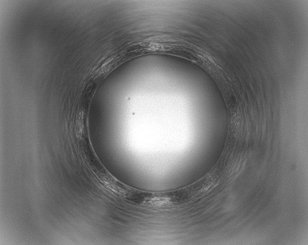 X0000056020554200509092142