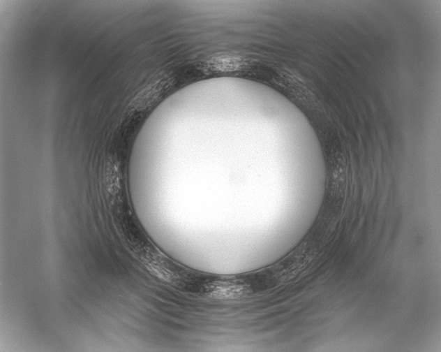 X0000056020555200509092142