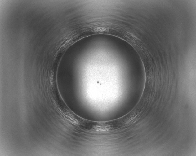 X0000056020556200509092142