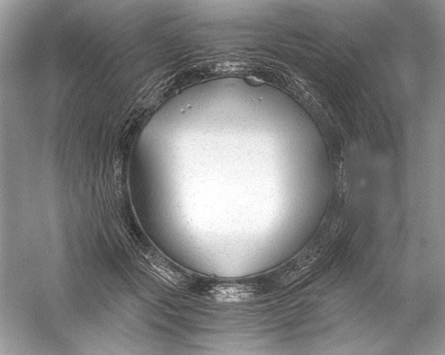 X0000056020557200509092142
