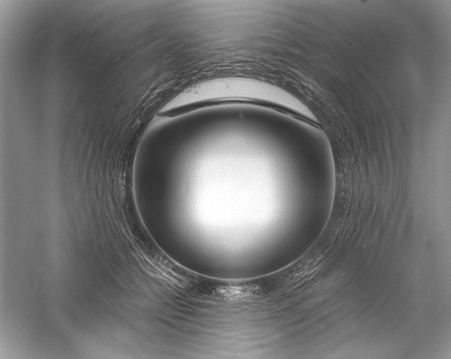 X0000056020558200509092142