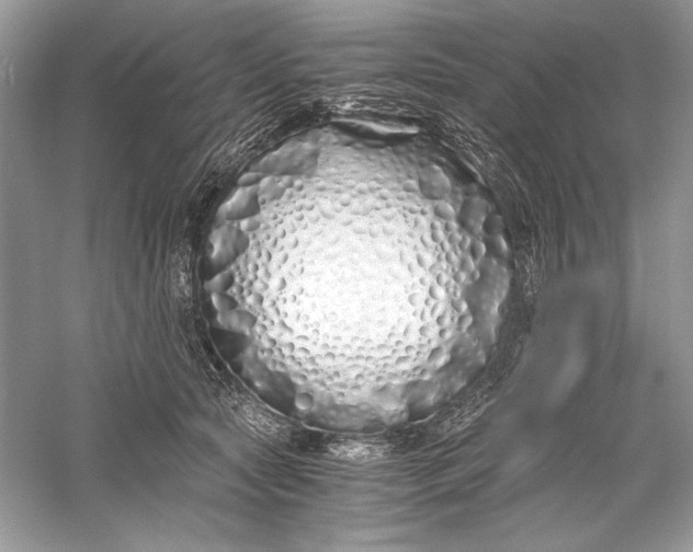 X0000056020561200509092142