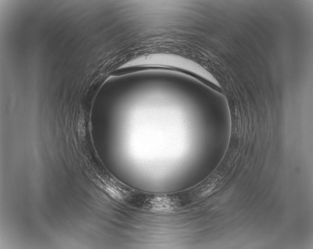 X0000056020562200509092142