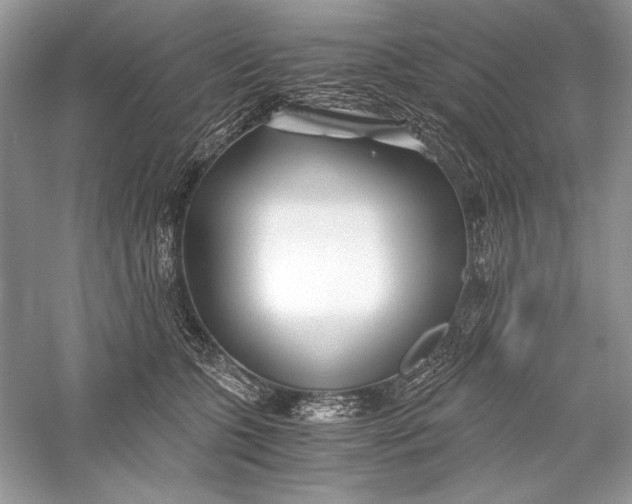 X0000056020563200509092142