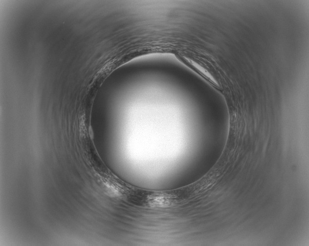 X0000056020564200509092142