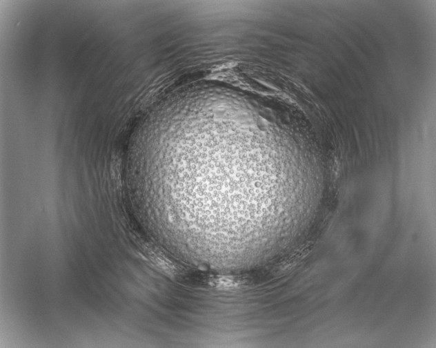 X0000056020565200509092142