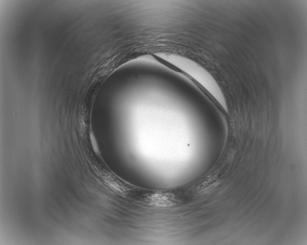 X0000056020566200509092142