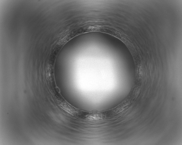 X0000056020567200509092142