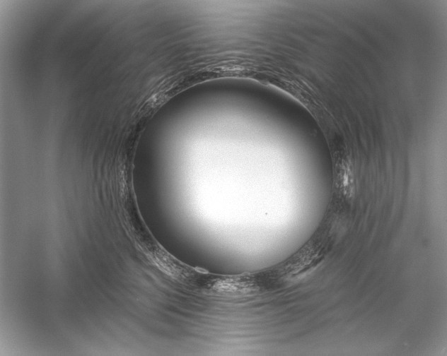 X0000056020568200509092142