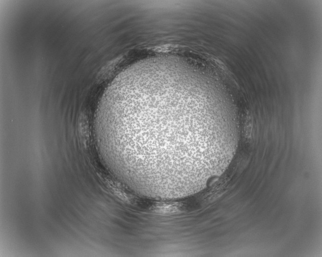 X0000056020569200509092142