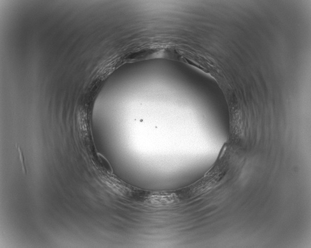 X0000056020571200509092142