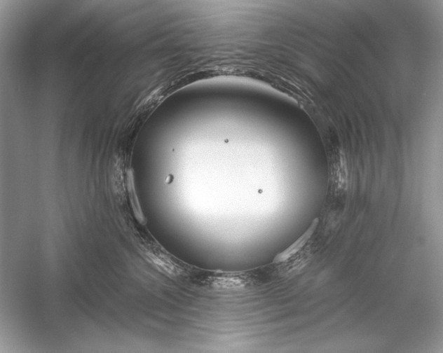 X0000056020572200509092142