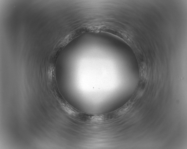 X0000056020574200509092142