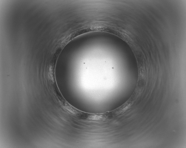 X0000056020575200509092142