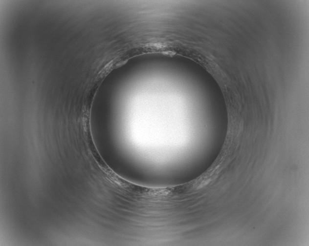X0000056020576200509092142