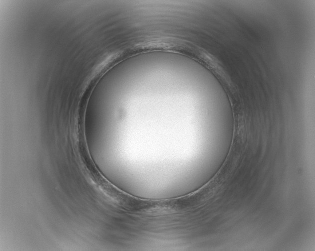 X0000056020578200509092141