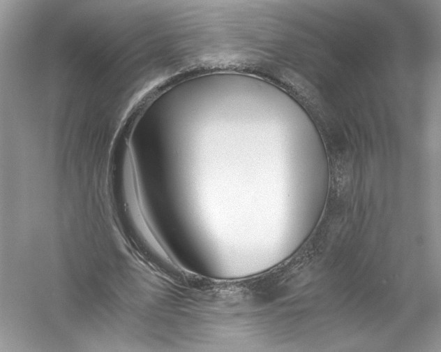 X0000056020583200509092141