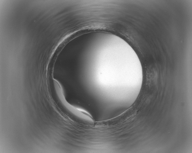 X0000056020584200509092141