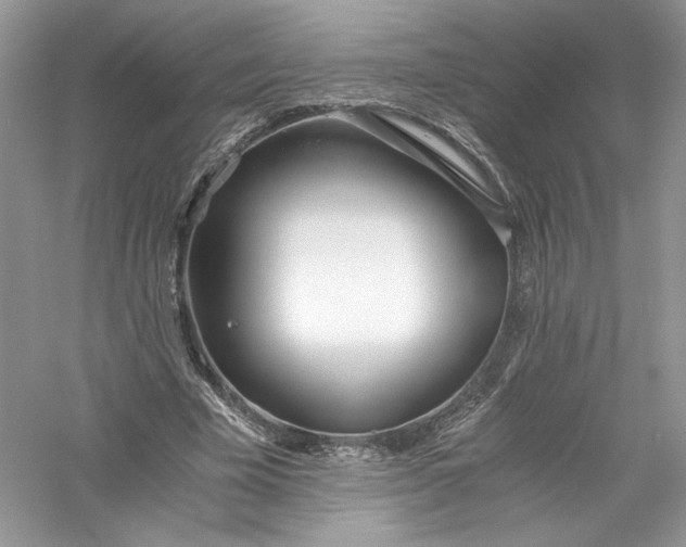 X0000056020585200509092141