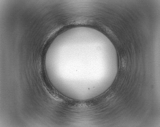 X0000056020588200509092141