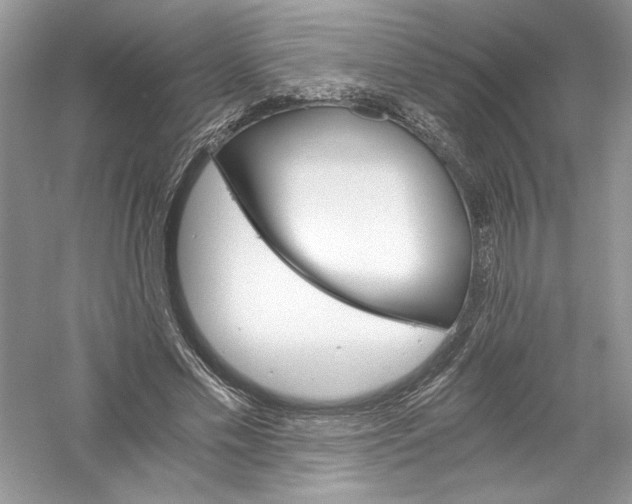 X0000056020589200509092141